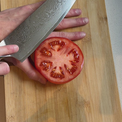 Damascus Steel Knives - Novara Pro